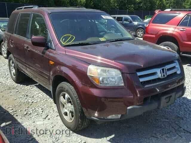 Фотография 5FNYF18687B019214 - HONDA PILOT 2007