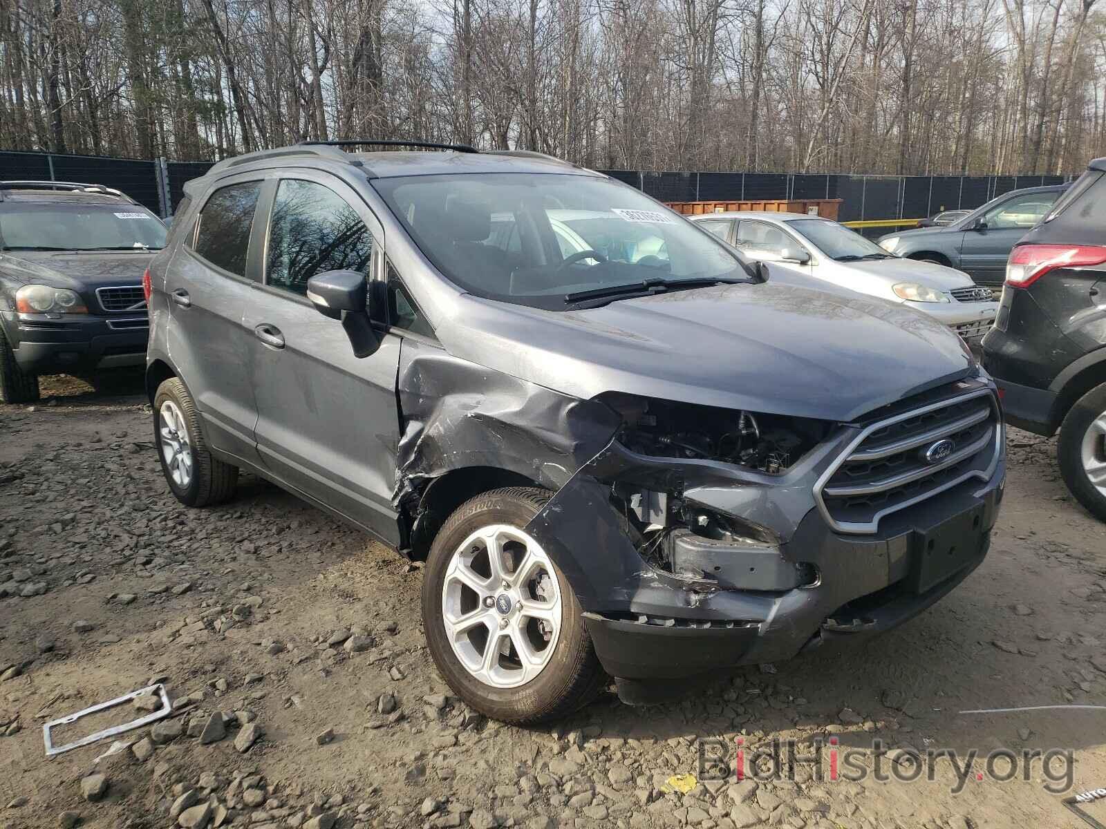 Photo MAJ6S3GL6KC291178 - FORD ALL OTHER 2019