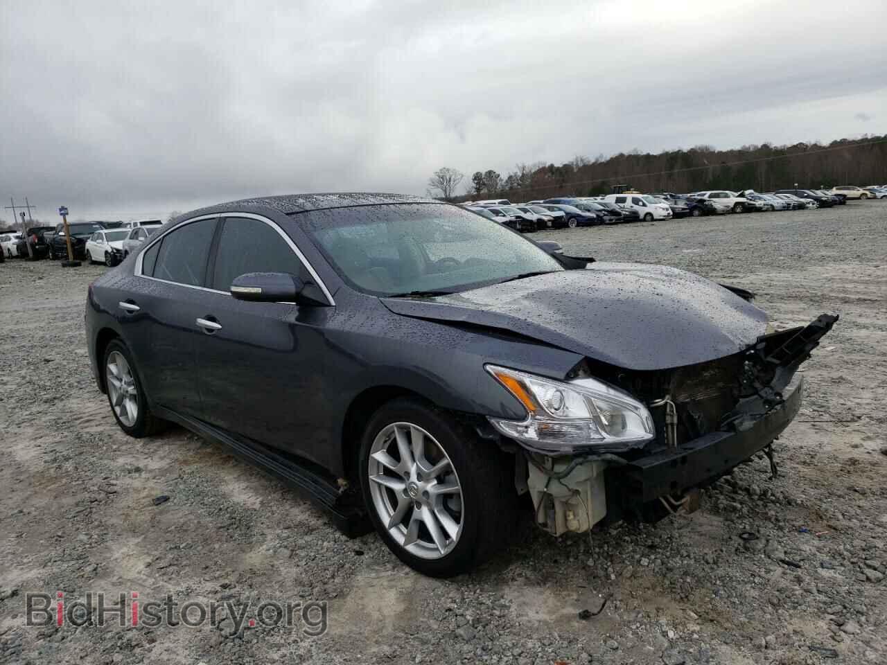 Photo 1N4AA5AP9AC817029 - NISSAN MAXIMA 2010