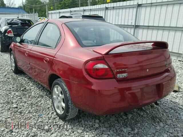 2005 DODGE NEON - VIN: 1B3ES56CX5D201565 - Фото 3