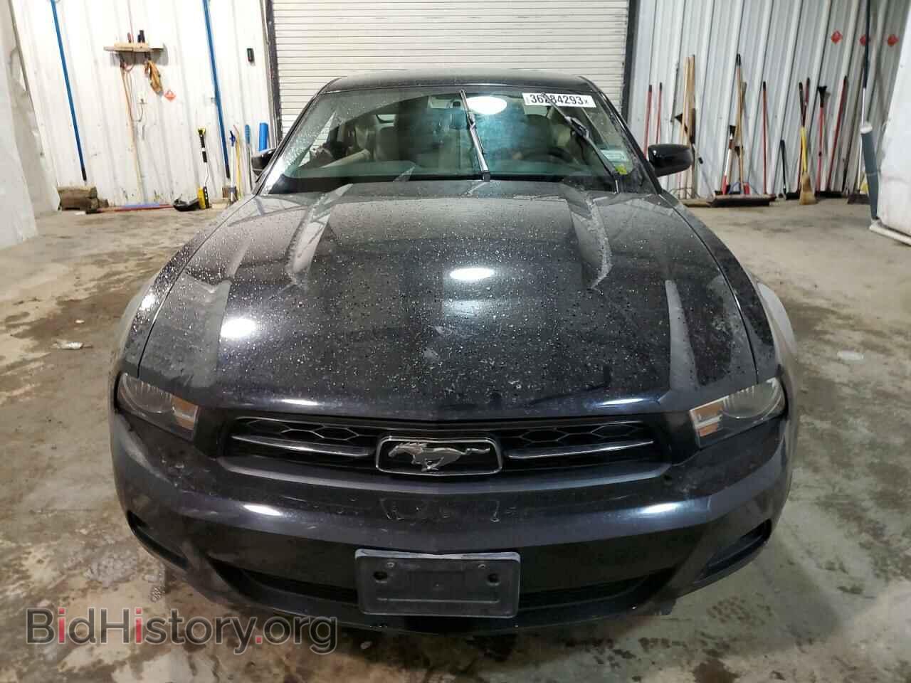 2011 FORD MUSTANG - VIN: 1ZVBP8AM6B5105603 - Фото 5