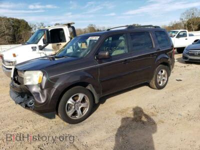 2013 Honda PILOT Pilot EXL, серый — VIN 5FNYF3H53DB035125, Copart
