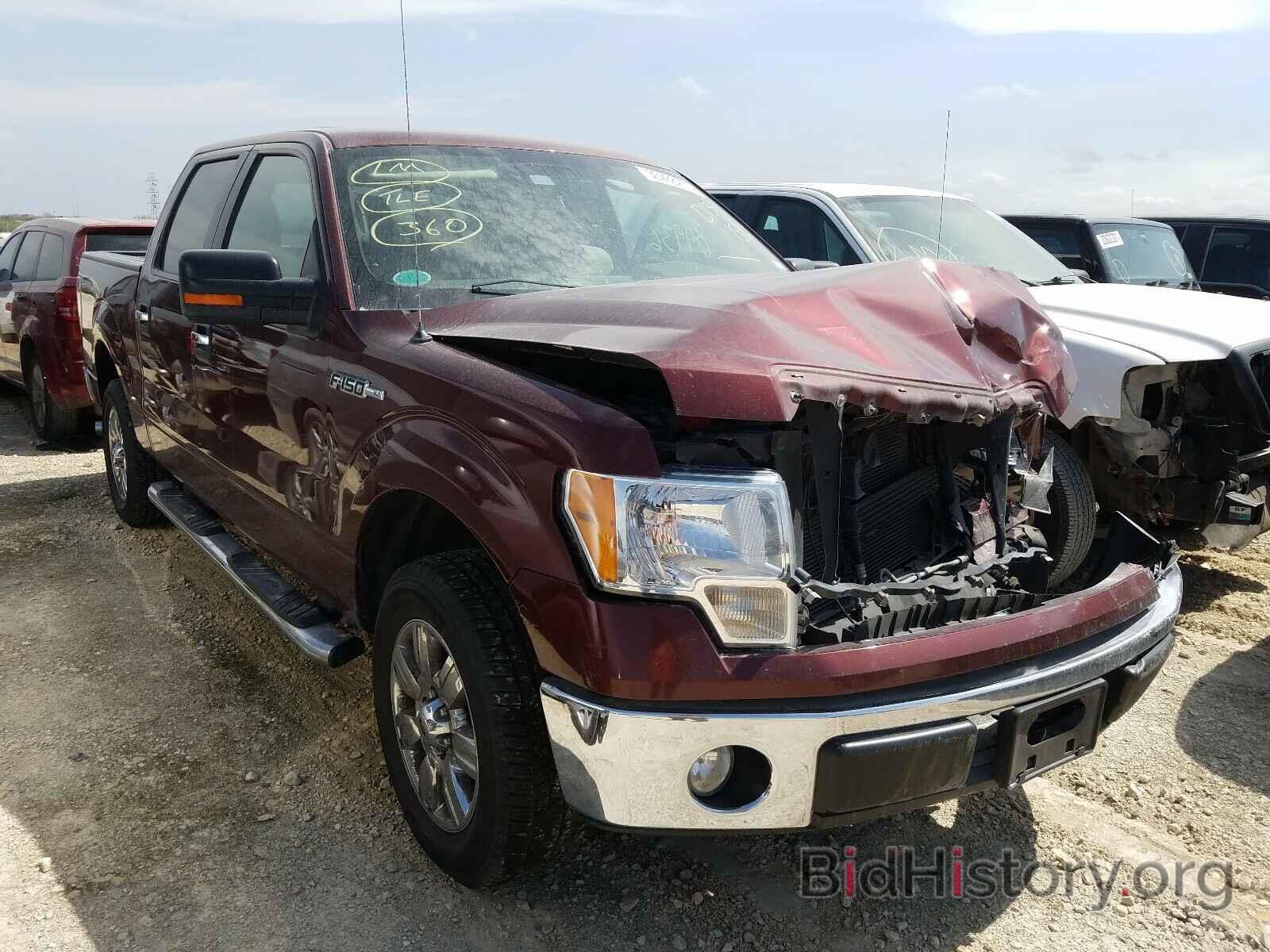 Photo 1FTEW1C86AFD13158 - FORD F150 2010