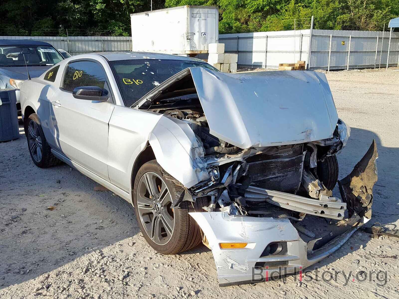 Photo 1ZVBP8AM7D5207477 - FORD MUSTANG 2013