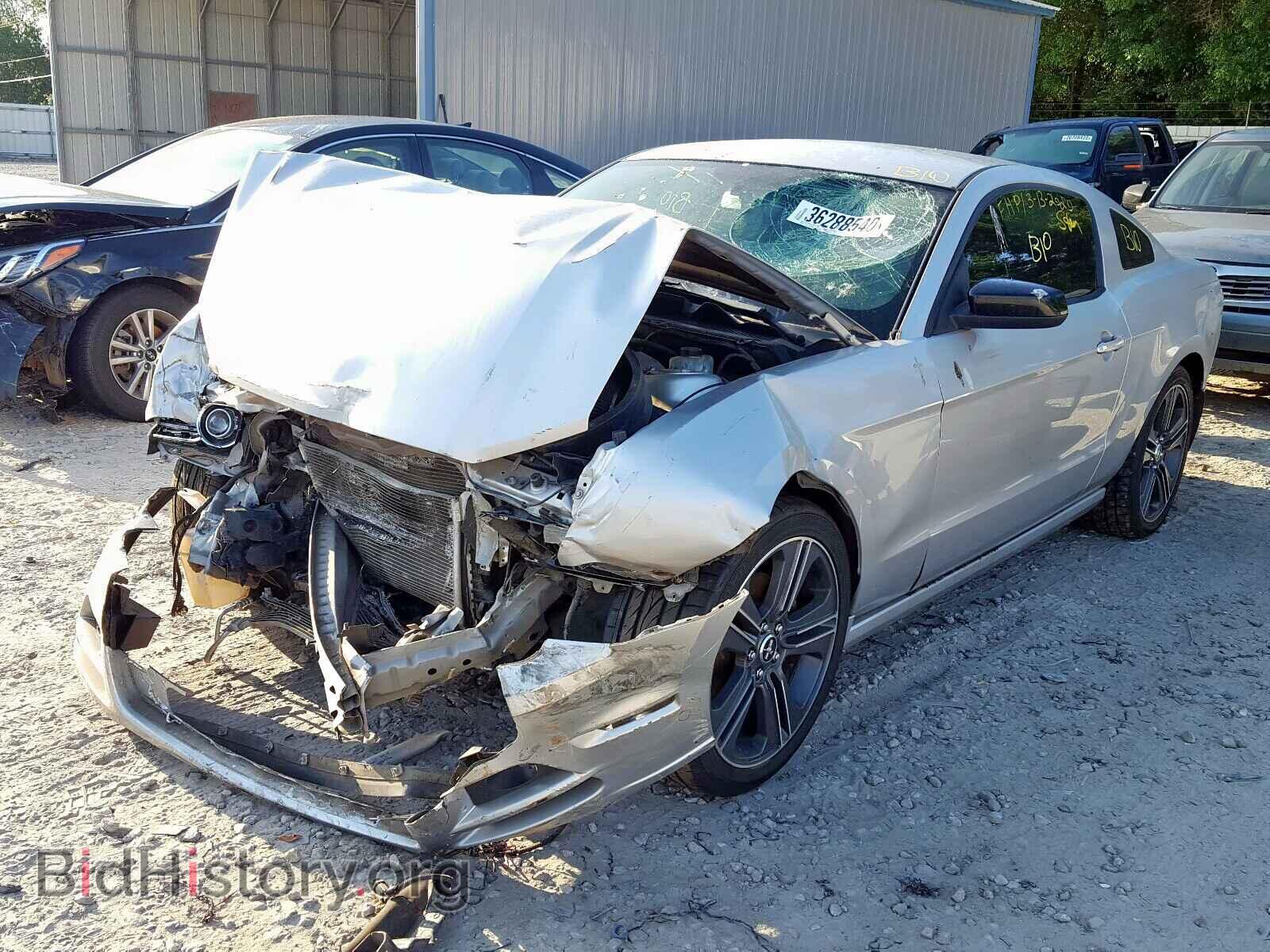 2013 FORD MUSTANG - VIN: 1ZVBP8AM7D5207477 - Фото 2