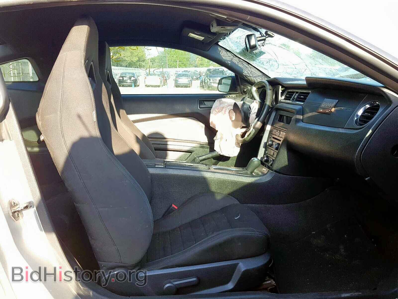 2013 FORD MUSTANG - VIN: 1ZVBP8AM7D5207477 - Фото 5