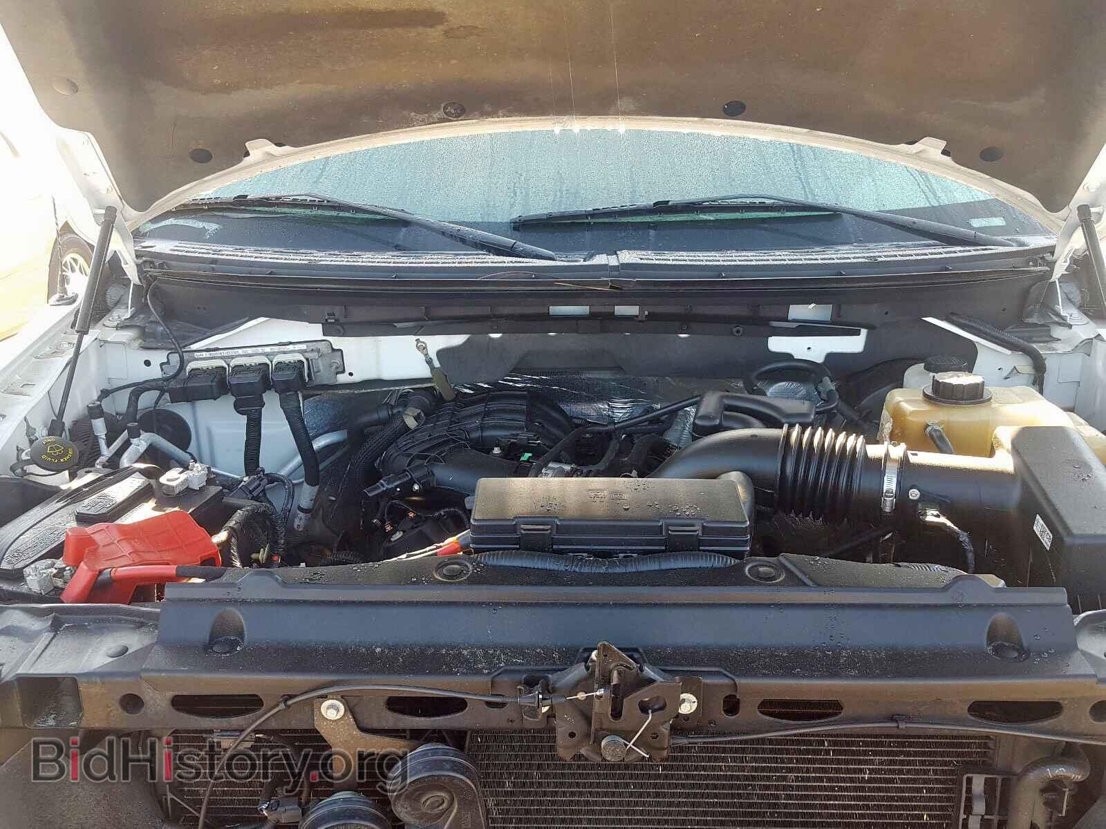 2013 FORD F150 - VIN: 1FTMF1CM0DFC58607 - Photo 7