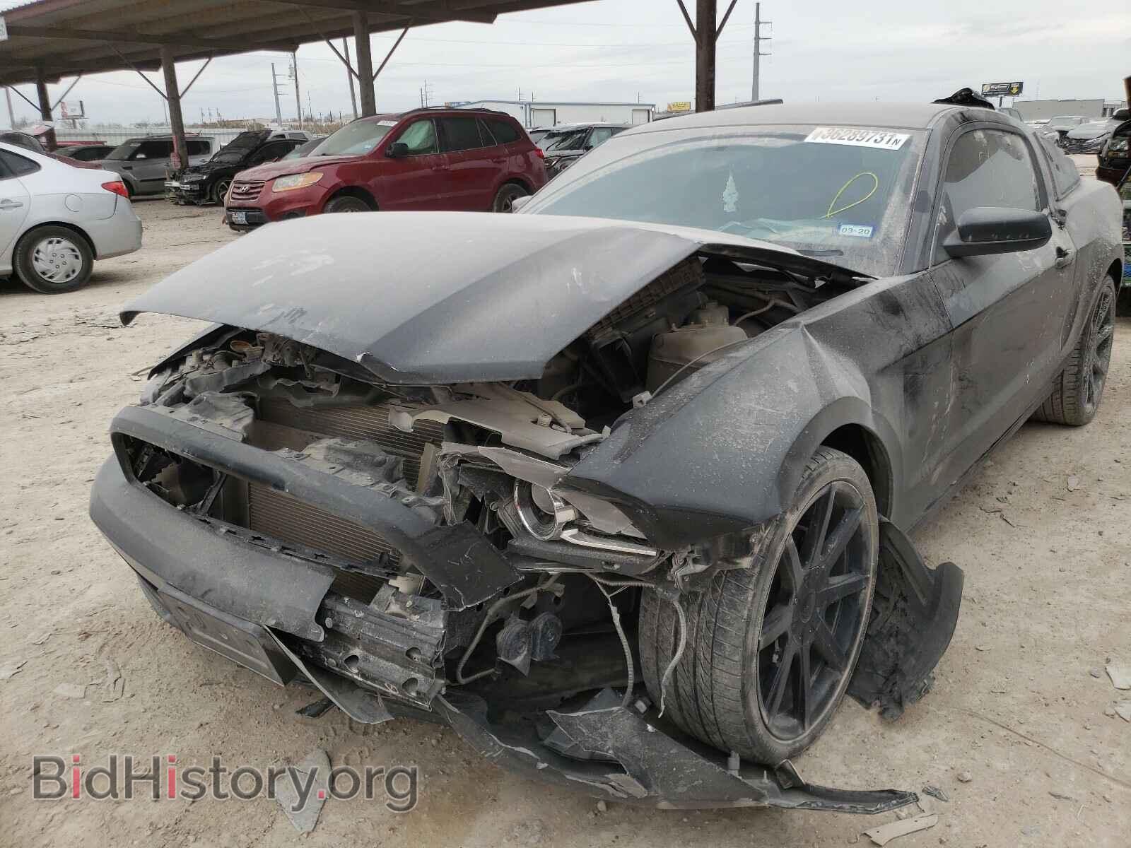 2014 FORD MUSTANG - VIN: 1ZVBP8AM9E5217302 - Фото 2