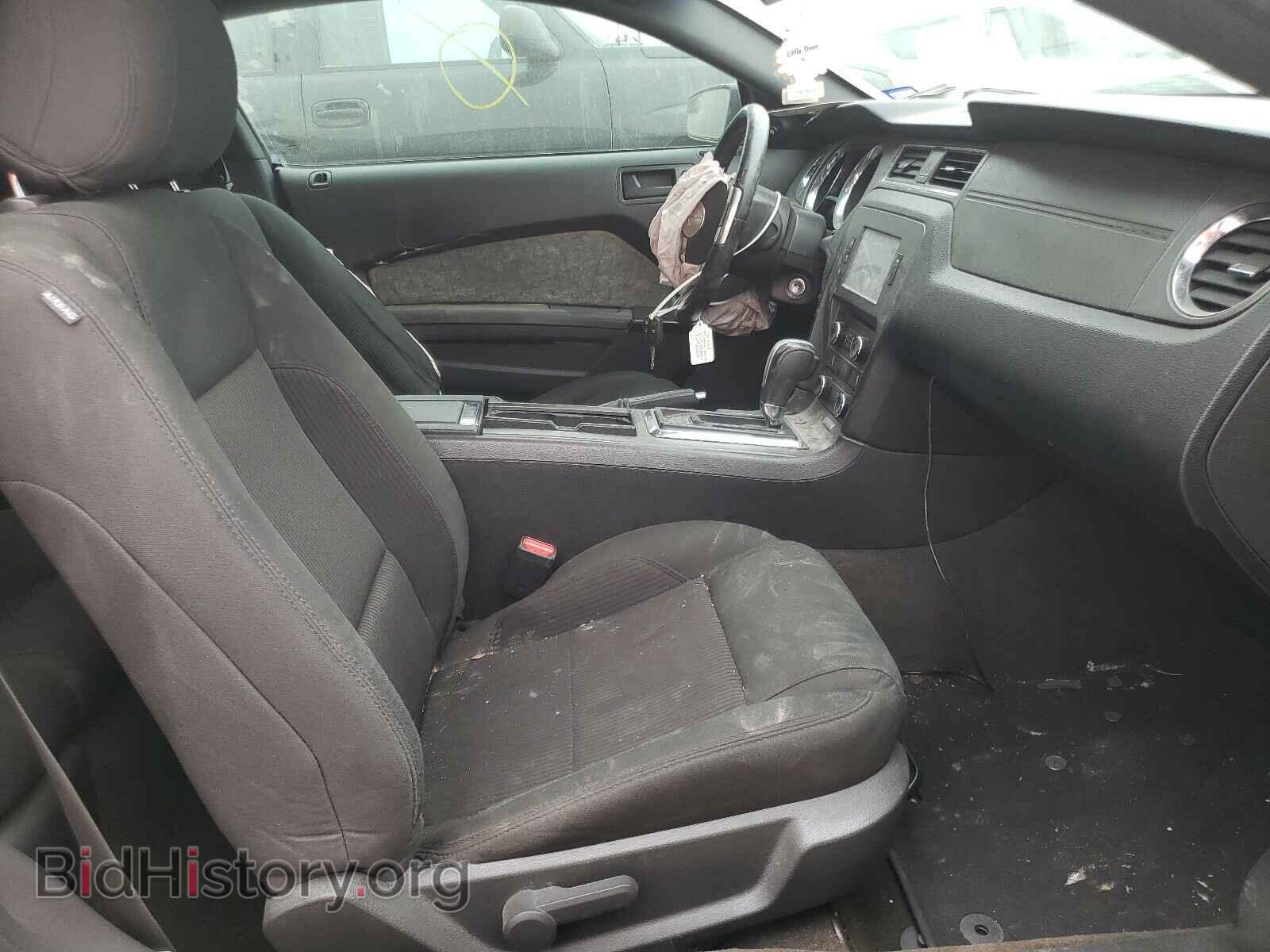 2014 FORD MUSTANG - VIN: 1ZVBP8AM9E5217302 - Фото 5