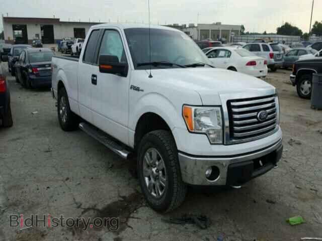 Фотография 1FTFX1EF9CFB92738 - FORD F150 2012