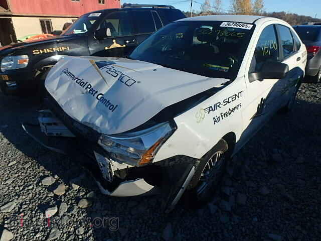 2010 FORD FOCUS - VIN: 1FAHP3FN0AW173900 - Фото 2