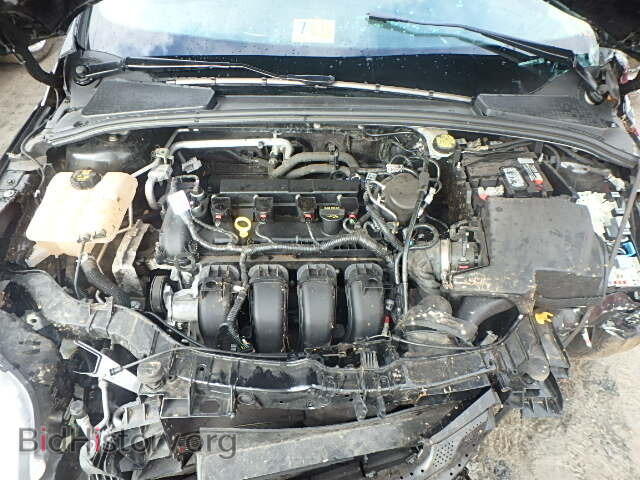 2014 FORD FOCUS - VIN: 1FADP3E2XEL339319 - Photo 7
