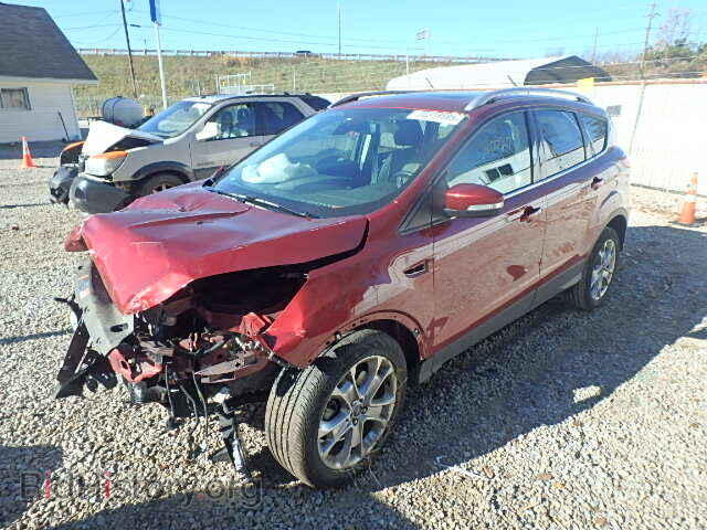 2014 FORD ESCAPE - VIN: 1FMCU0J98EUB42011 - Фото 2