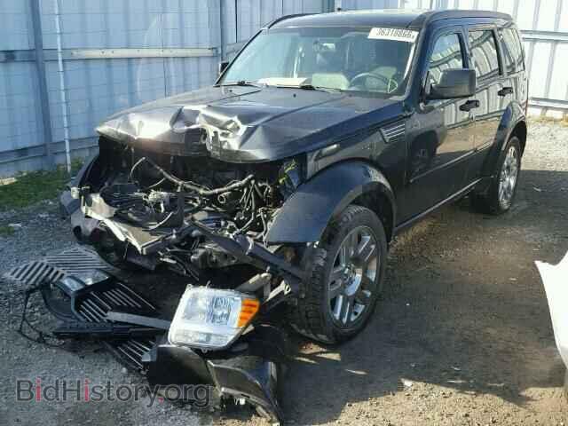 2011 DODGE NITRO - VIN: 1D4PU5GK5BW565886 - Фото 2