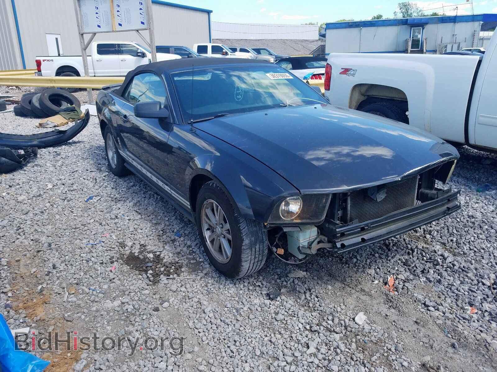 Фотография 1ZVHT84N285138097 - FORD MUSTANG 2008