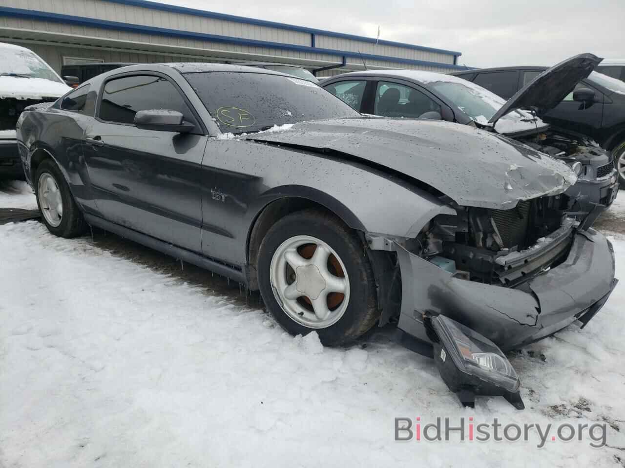 Photo 1ZVHP8CH0A5126200 - FORD MUSTANG 2010