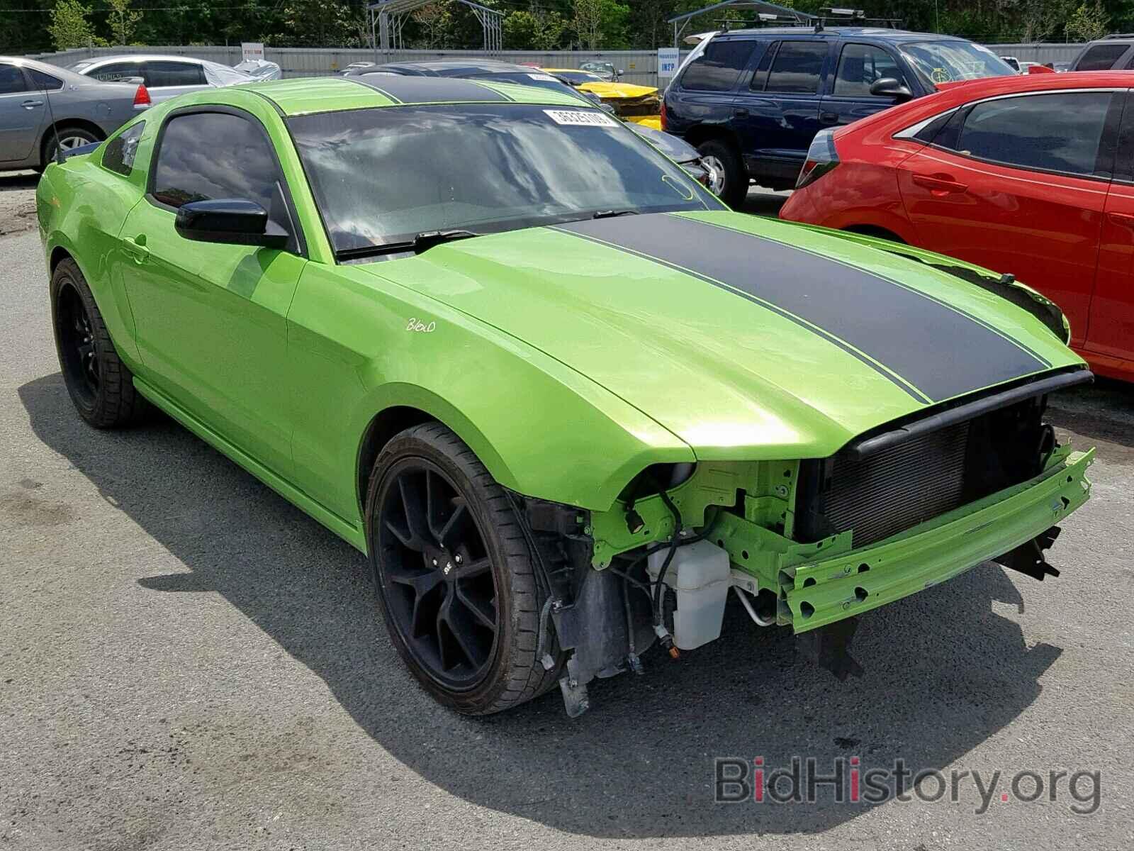 Photo 1ZVBP8AM1E5313070 - FORD MUSTANG 2014