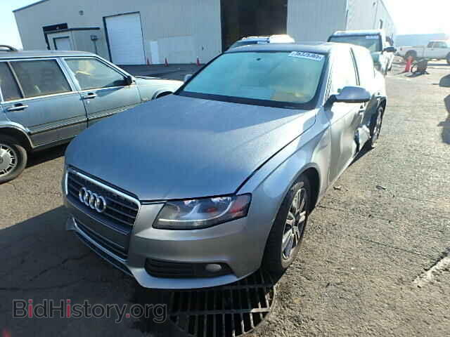 2010 AUDI A4 - VIN: WAUAFAFL3AN012641 - Фото 2