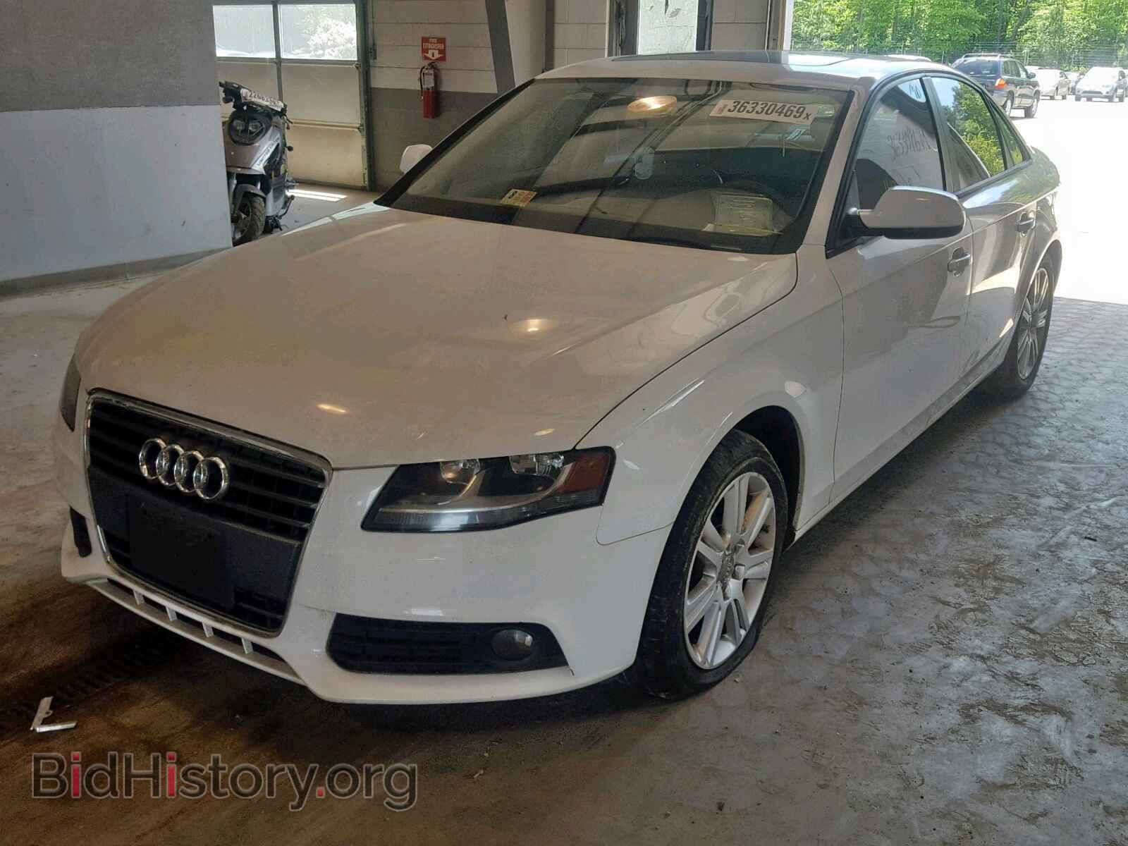 2011 AUDI A4 - VIN: WAUAFAFL2BN033644 - Фото 2