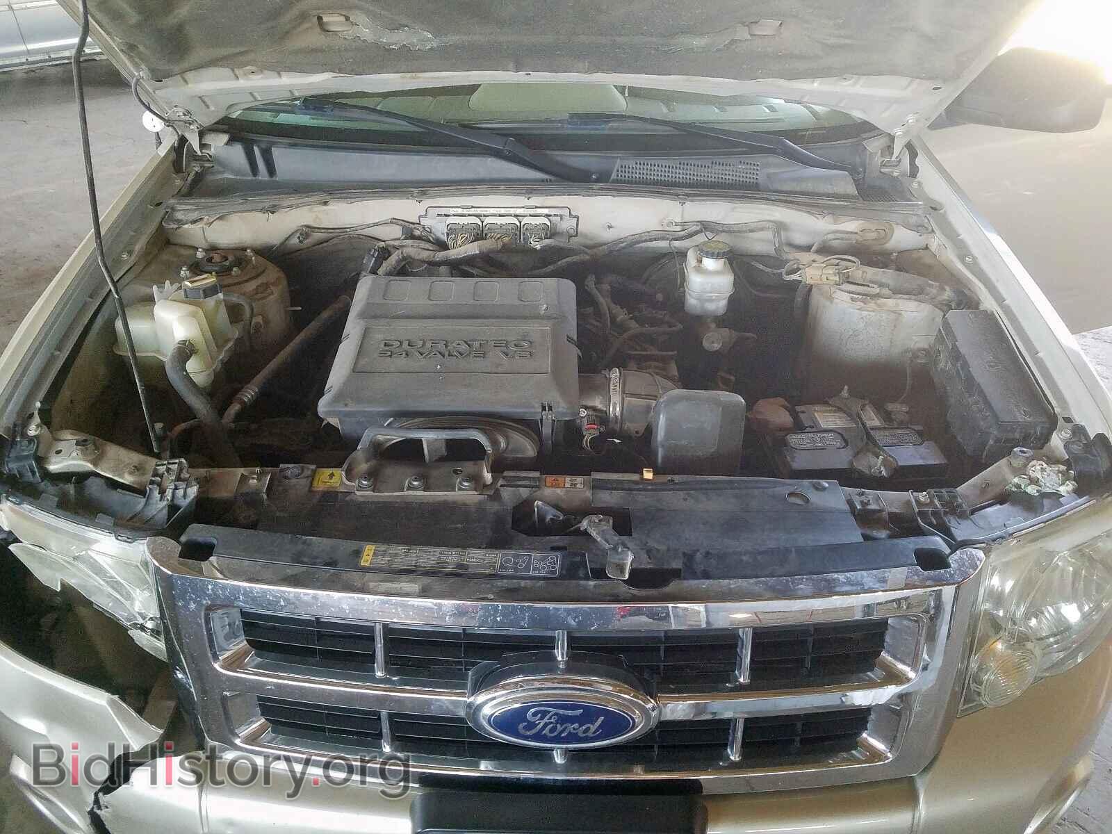 2011 FORD ESCAPE - VIN: 1FMCU0DG2BKC52103 - Photo 7