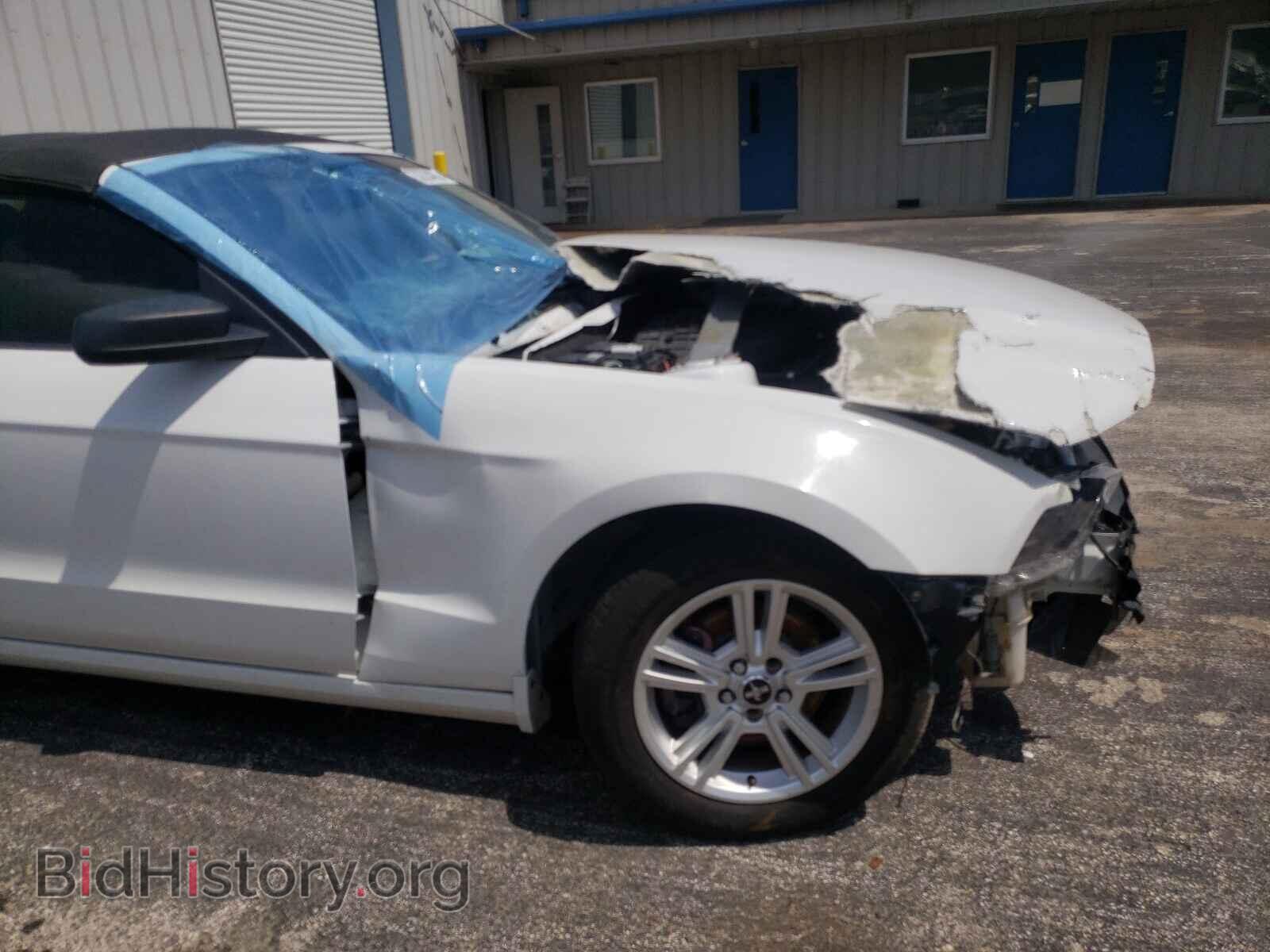 2014 FORD MUSTANG - VIN: 1ZVBP8EM4E5208548 - Фото 9