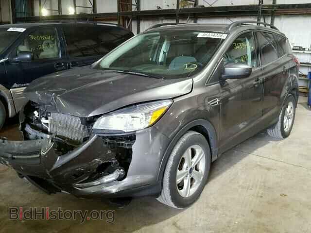 2014 FORD ESCAPE - VIN: 1FMCU9G98EUB24247 - Photo 2