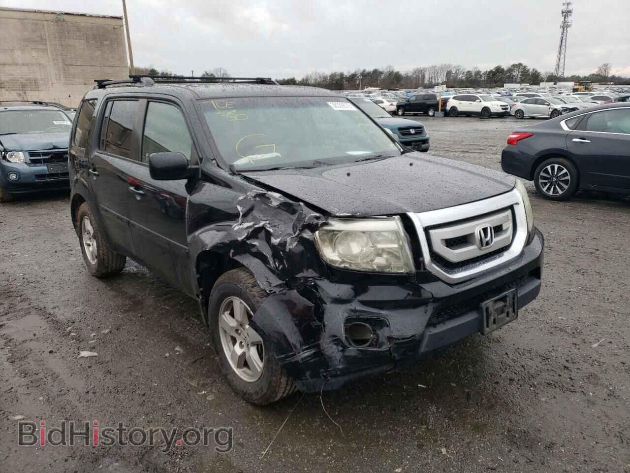 Фотография 5FNYF4H71BB090709 - HONDA PILOT 2011