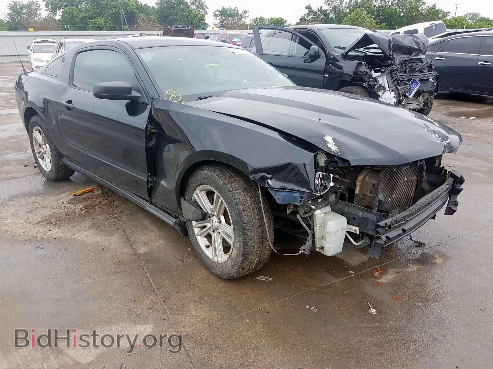 Photo 1ZVBP8AM2B5169816 - FORD MUSTANG 2011