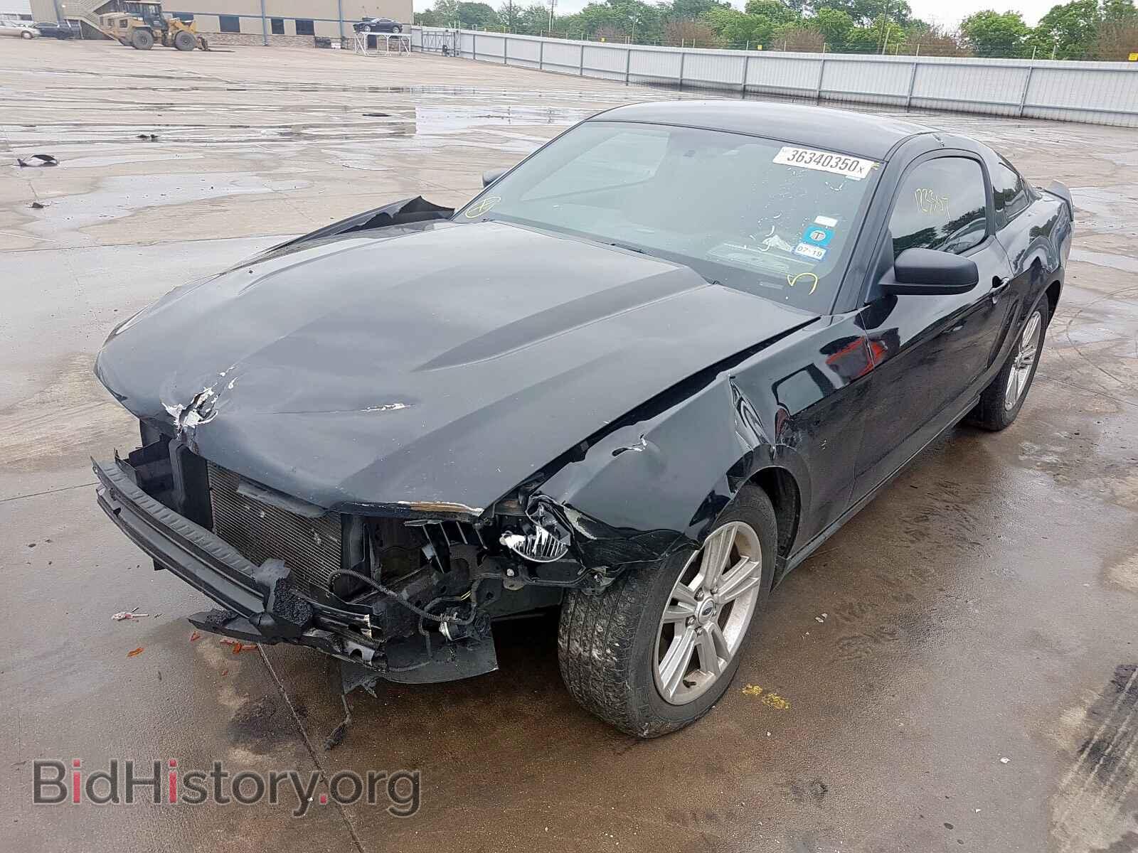 2011 FORD MUSTANG - VIN: 1ZVBP8AM2B5169816 - Фото 2