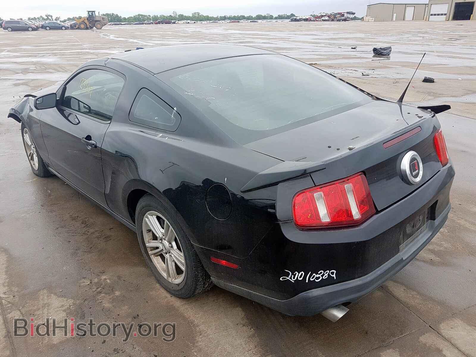 2011 FORD MUSTANG - VIN: 1ZVBP8AM2B5169816 - Фото 3