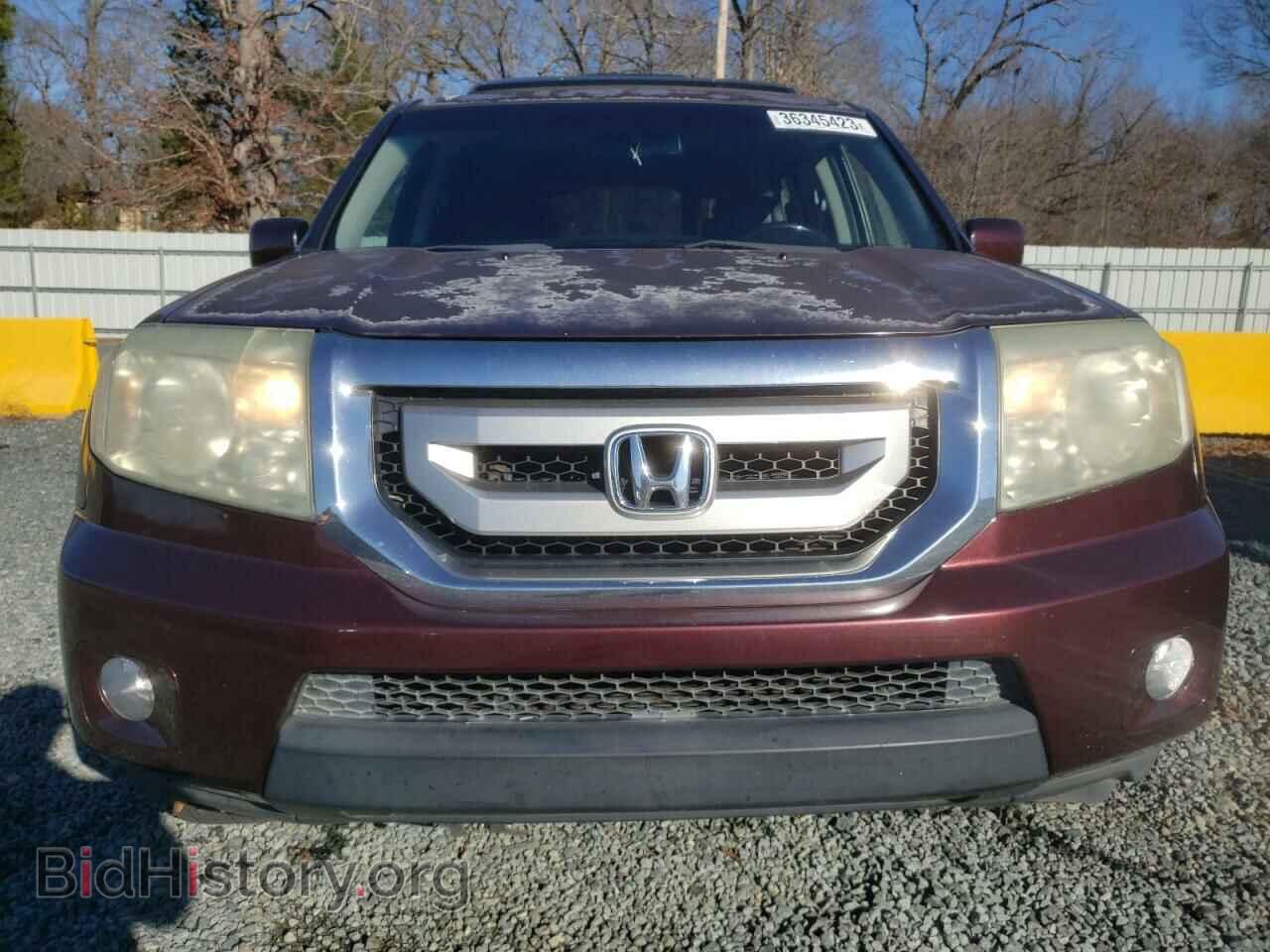 2009 HONDA PILOT - VIN: 5FNYF38549B021810 - Фото 5