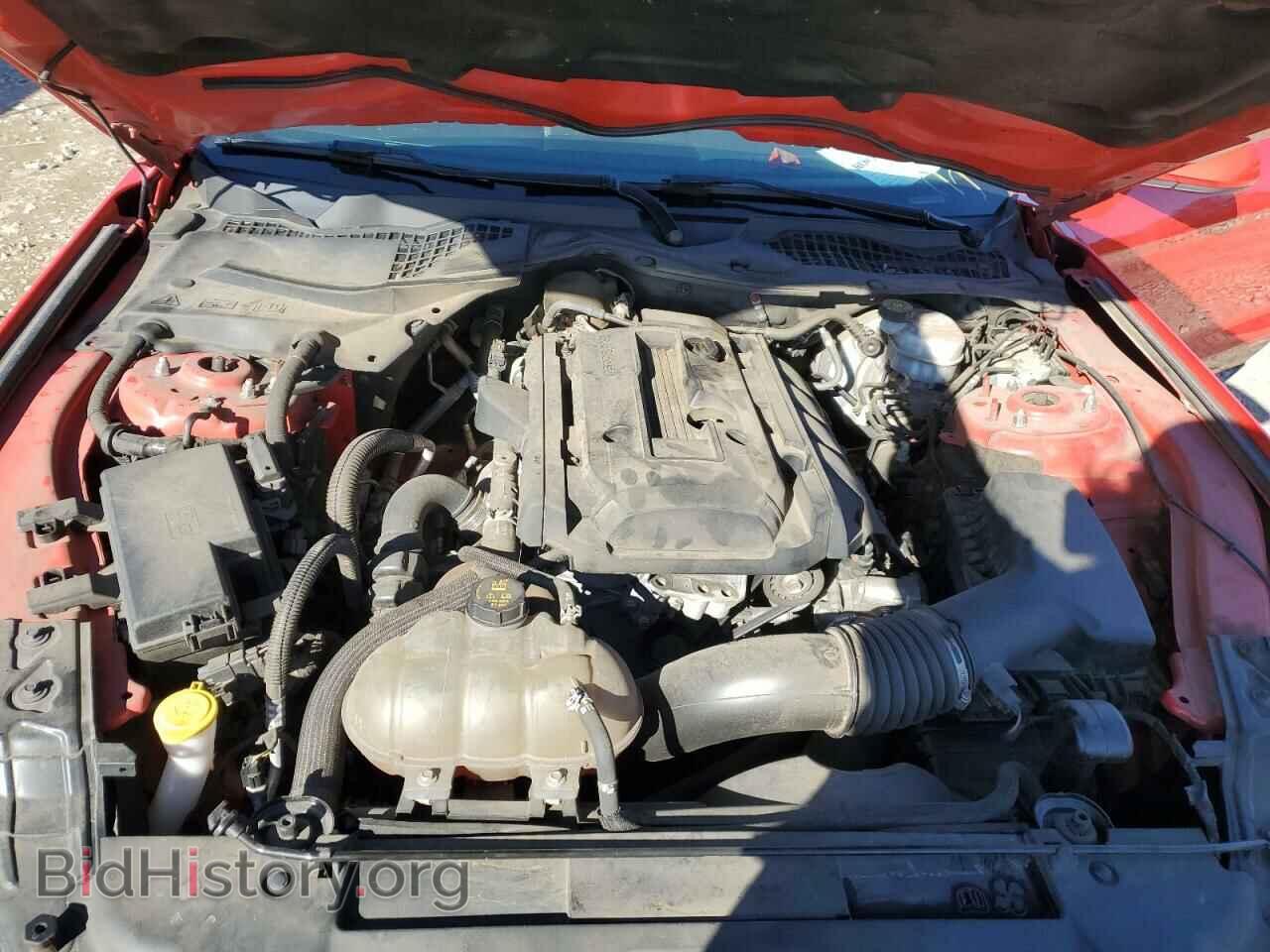 2019 FORD MUSTANG - VIN: 1FA6P8TH5K5161882 - Фото 11