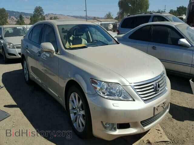 Фотография JTHBL5EF4A5092968 - LEXUS LS460 2010