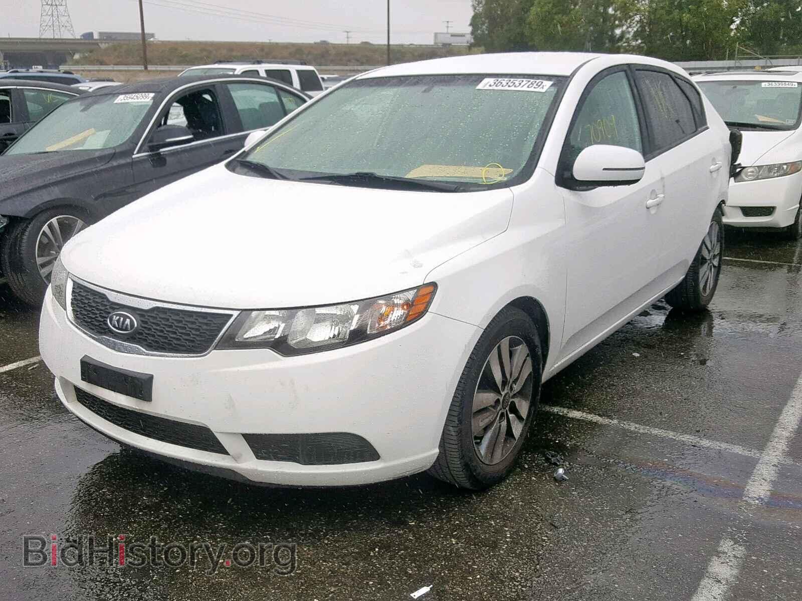 2013 KIA FORTE EX - VIN: KNAFU5A29D5742480 - Фото 2