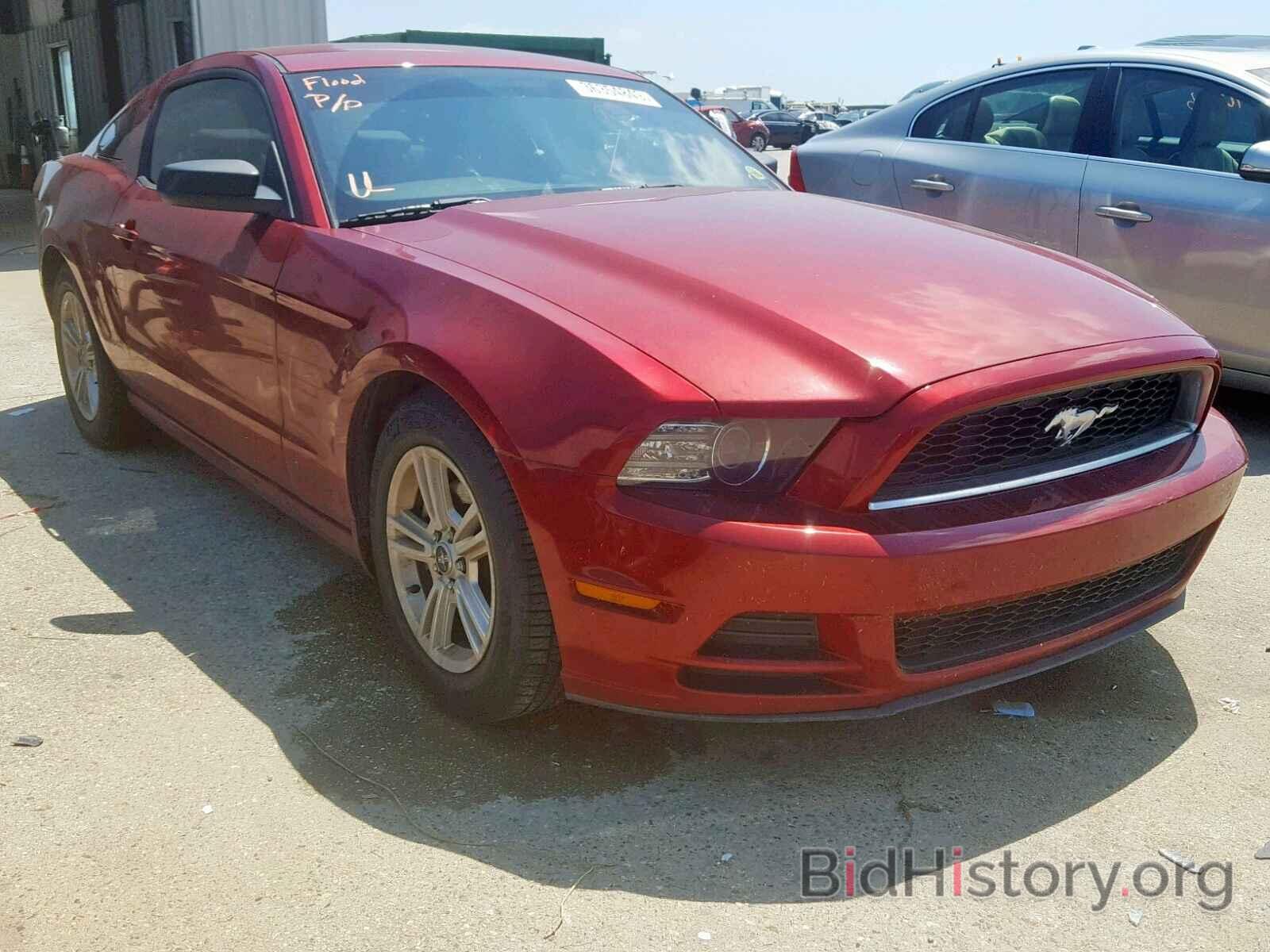 Photo 1ZVBP8AM8E5286773 - FORD MUSTANG 2014