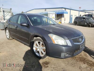 2007 Nissan MAXIMA, gray — VIN 1N4BA41E17C811800, Copart