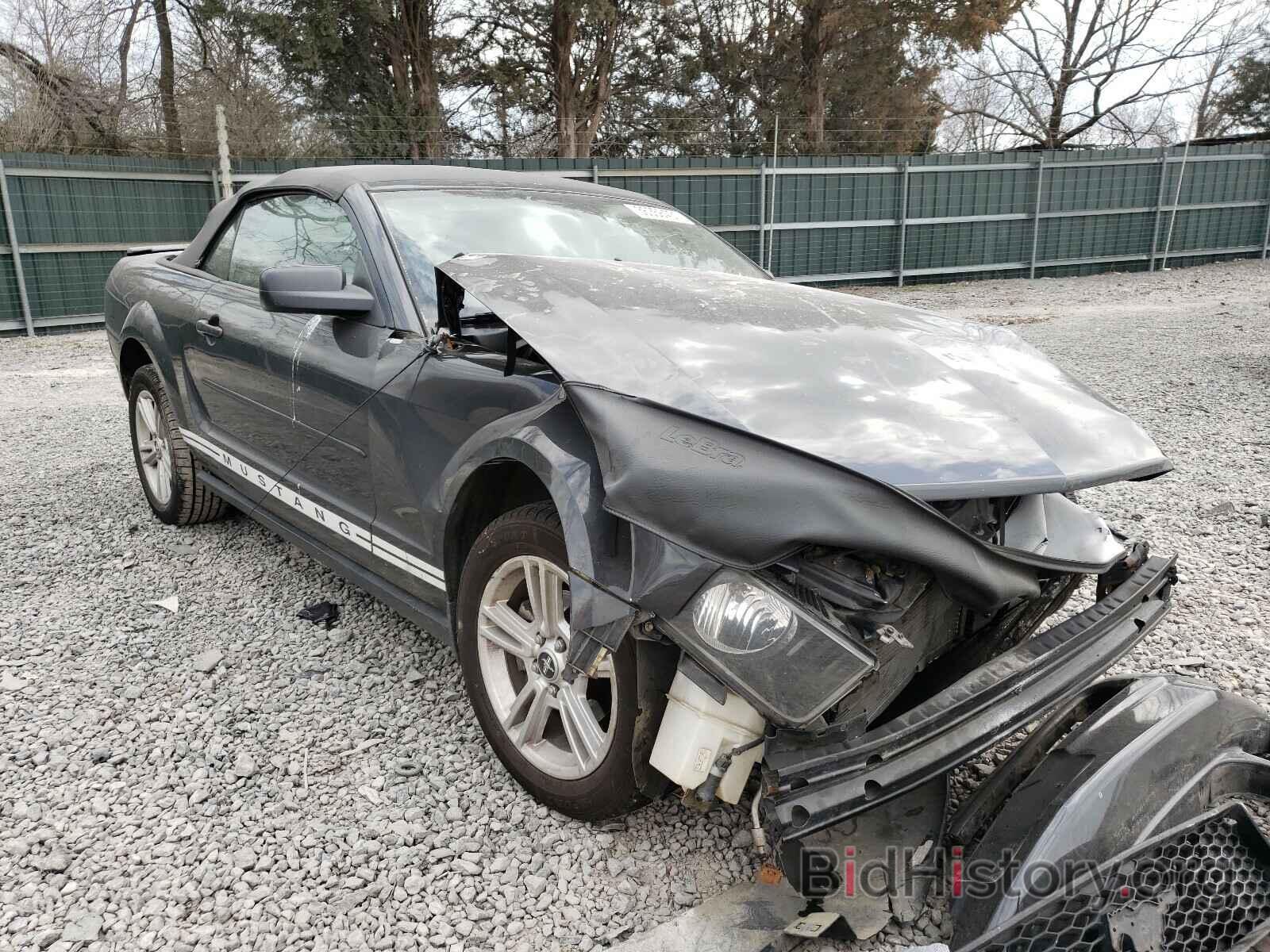 Photo 1ZVHT84N385171156 - FORD MUSTANG 2008