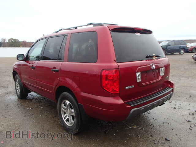 2005 HONDA PILOT - VIN: 5FNYF18525B010769 - Фото 3