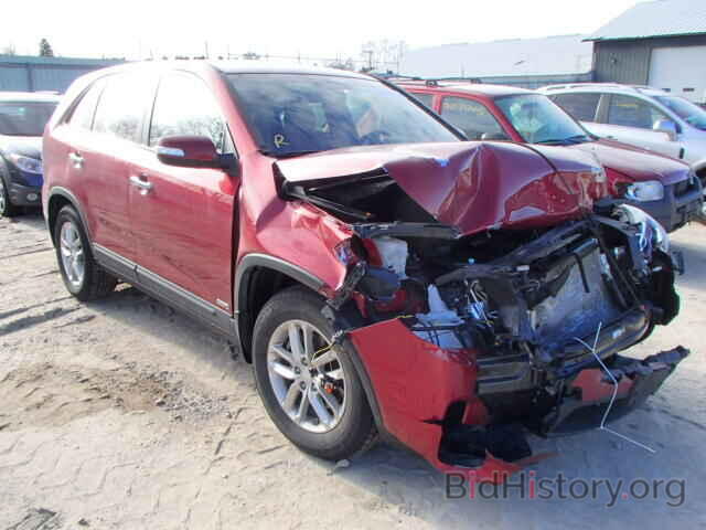 Photo 5XYKTCA67EG545750 - KIA SORENTO 2014