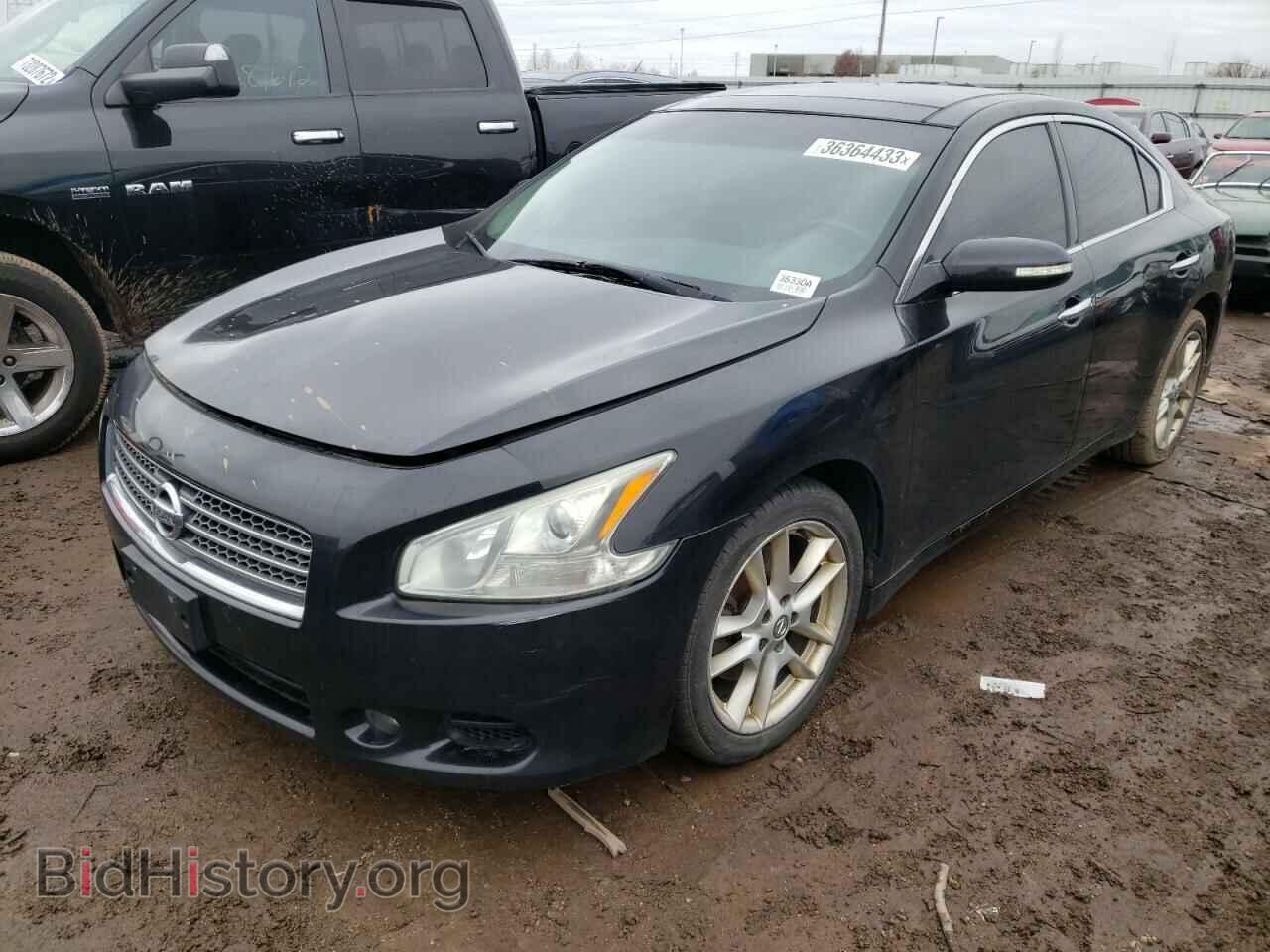Фотография 1N4AA5AP1BC869613 - NISSAN MAXIMA 2011