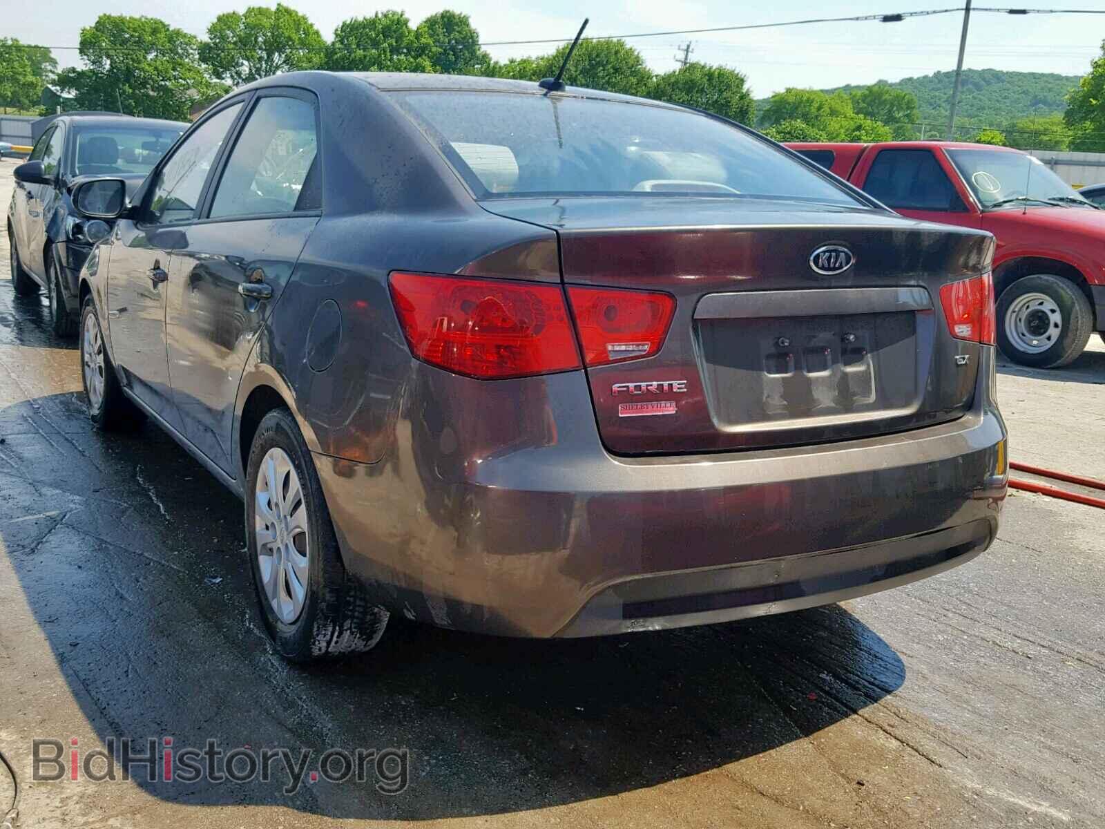 2013 KIA FORTE EX - VIN: KNAFU4A29D5731442 - Фото 3