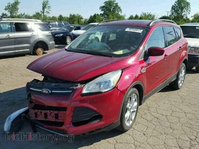 2014 FORD ESCAPE - VIN: 1FMCU0GX4EUB43422 - Photo 2