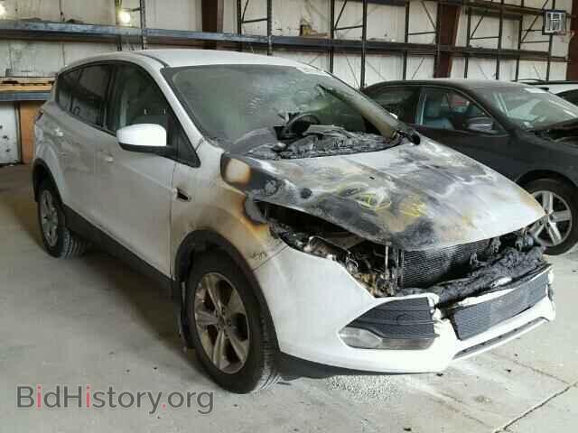 Фотография 1FMCU0GX8DUA16994 - FORD ESCAPE 2013