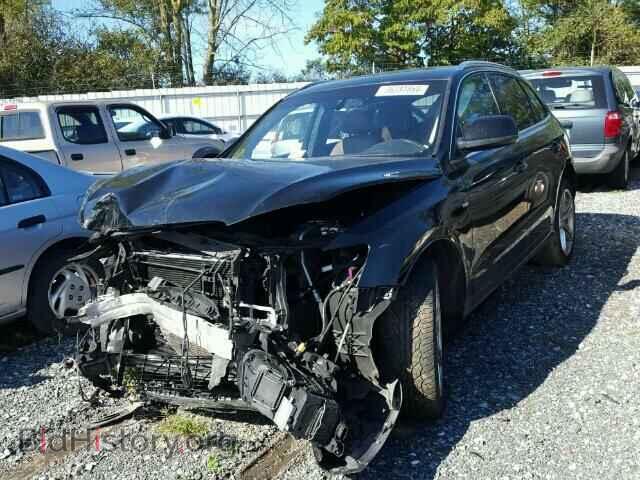 2010 AUDI Q5 - VIN: WA1MKAFP2AA090862 - Фото 2