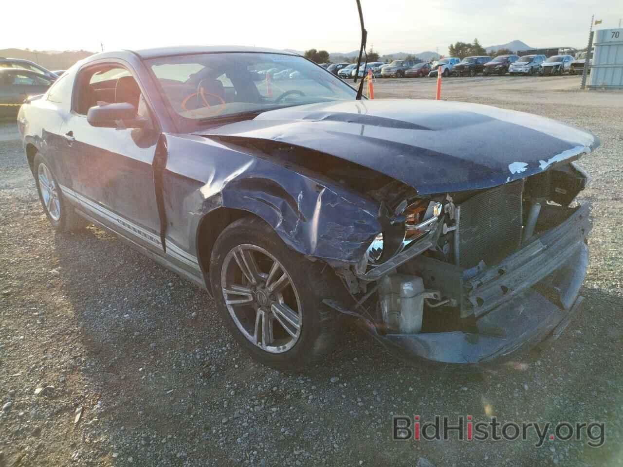 Photo 1ZVBP8AN6A5153688 - FORD MUSTANG 2010