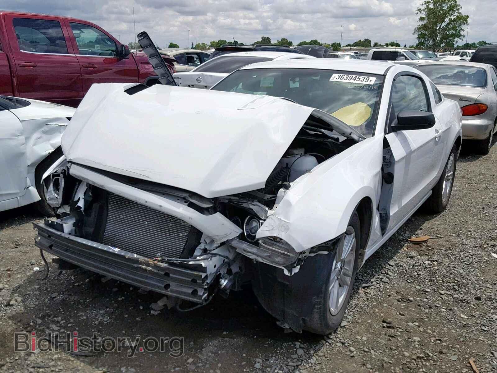 2014 FORD MUSTANG - VIN: 1ZVBP8AM4E5241250 - Photo 2