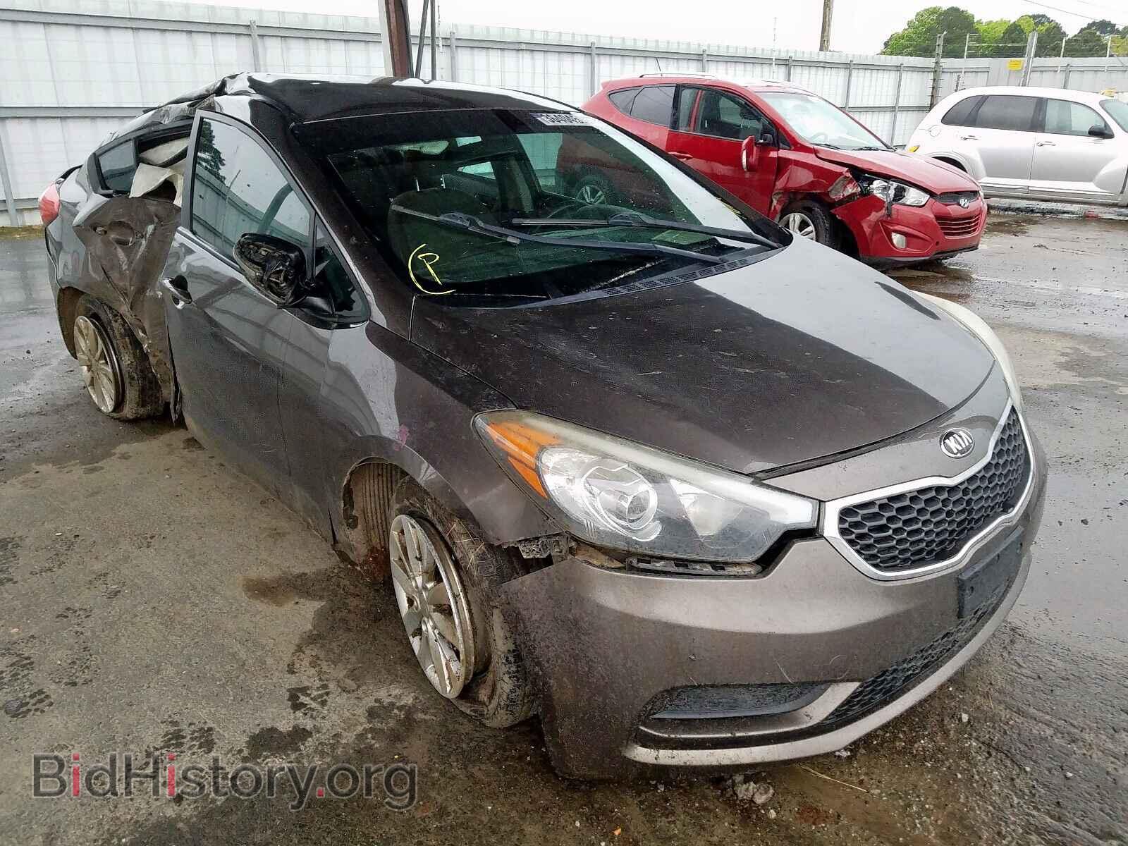 Фотография KNAFX4A66E5134731 - KIA FORTE 2014