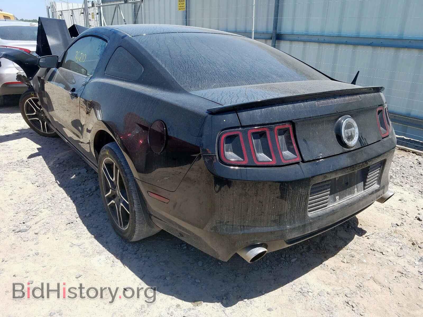 2013 FORD MUSTANG - VIN: 1ZVBP8CF9D5266836 - Фото 3