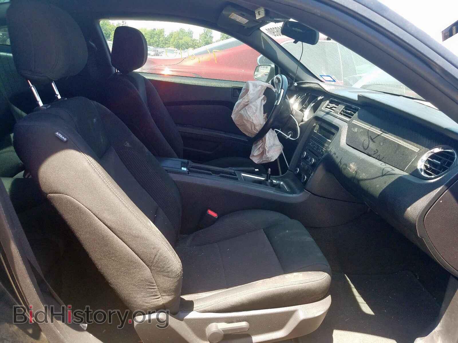 2013 FORD MUSTANG - VIN: 1ZVBP8CF9D5266836 - Фото 5