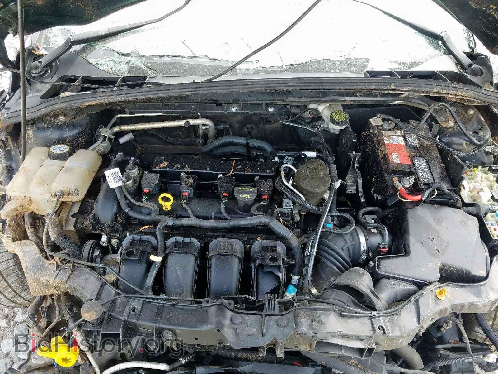 2013 FORD FOCUS - VIN: 1FADP3F20DL203262 - Фото 7